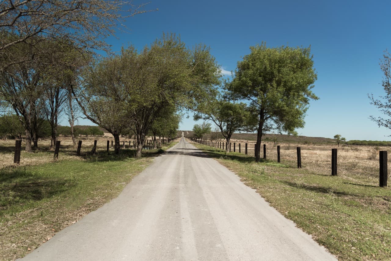 Tree-lined entrance road